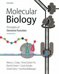 Molecular Biology : Principles of Genome Function (Paperback, 2 Revised edition)