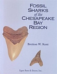 Fossil Sharks of the Chesapeake Bay Region (Paperback)
