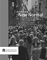 Assessing the New Normal (Paperback)