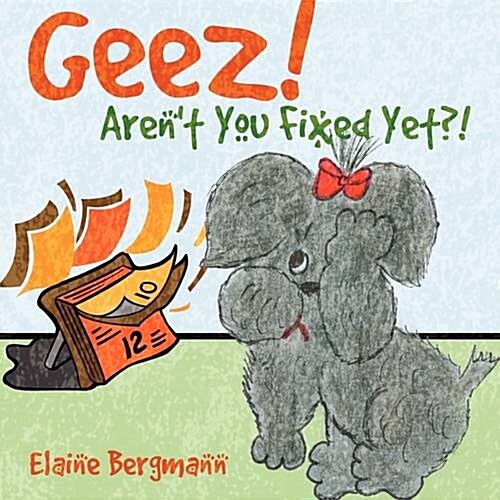 Geez! Arent You Fixed Yet?! (Paperback)