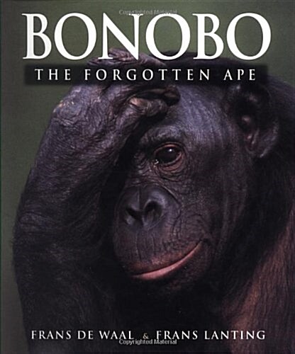 Bonobo: The Forgotten Ape (Hardcover, 1st)
