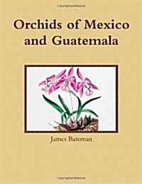 Orchids of Mexico and Guatemala (Paperback)