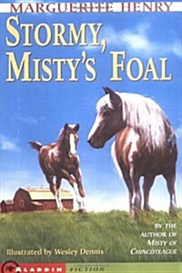 Stormy, Mistys Foal (Paperback)