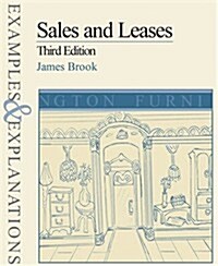 Sales and Leases: Examples and Explanations (Examples & Explanations Series) (Paperback, 3rd)
