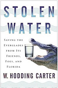 Stolen Water: Saving the Everglades from Its Friends, Foes, and Florida (Hardcover, 1st Atria Books Hardcover Ed)
