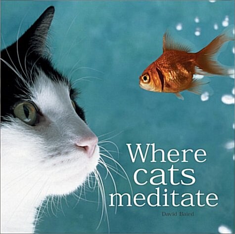 Where Cats Meditate (Hardcover, 1st)