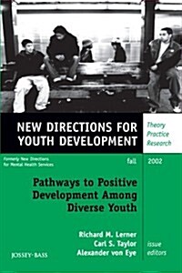 Pathways to Positive Development Among Diverse Youth: New Directions for Youth Development, Number 95 (Paperback)