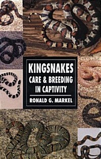 Reptile & Amphibian Parasites (Paperback, 1st)