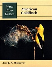 Wild Bird Guide: American Goldfinch (Wild Bird Guides) (Paperback, 1st)