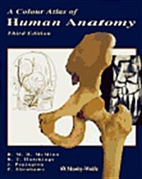 A Colour Atlas of Human Anatomy (McMinns Color Atlas of Human Anatomy) (Paperback, 3rd/22961)