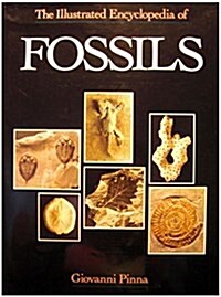 The Illustrated Encyclopedia of Fossils (Hardcover, 0)