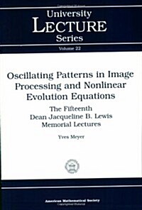 Oscillating Patterns in Image Processing and Nonlinear Evolution Equations (Paperback)