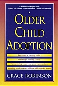 Older Child Adoption (Paperback, 1st)