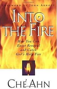 Into The Fire (Paperback)