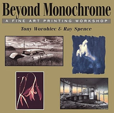 Beyond Monochrome (Paperback)