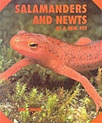 Salamanders Newts New Pet (Paperback)