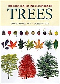 The Illustrated Encyclopedia of Trees (Hardcover, 1ST)