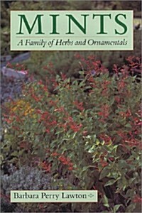 Mints: A Family of Herbs and Ornamentals (Hardcover)