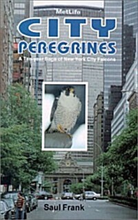 City Peregrines: A Ten-Year Saga of New York Falcons (Hardcover)