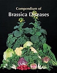 Compendium of Brassica Disease (Paperback)