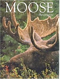 Moose (Paperback, 0)