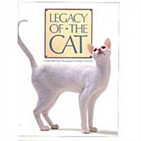 Legacy of the Cat (Paperback, 1ST)