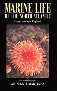 Marine Life of the North Atlantic (Paperback, Revised, Updated, Subsequent)