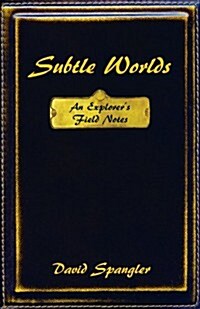 Subtle Worlds: An Explorers Field Notes (Paperback)