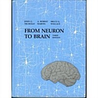 From Neuron to Brain: A Cellular and Molecular Approach to the Function of the Nervous System (Hardcover, 3rd)