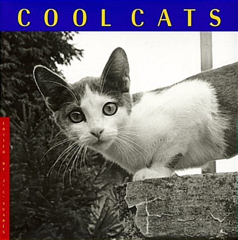 Cool Cats (Hardcover, 0)