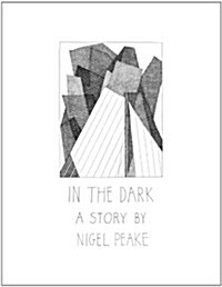 In the Dark - a Story by Nigel Peake (Paperback)