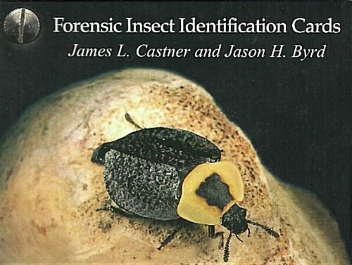 Forensic Insect Identification Cards (Hardcover)