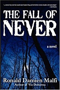 The Fall Of Never (Paperback)