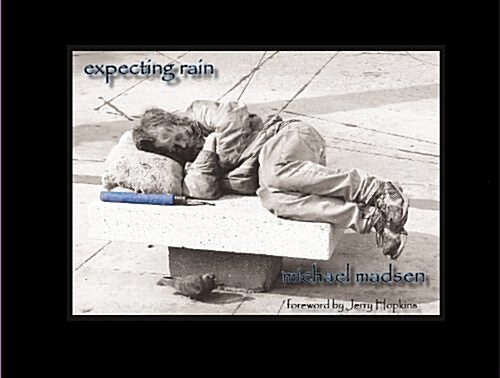 Expecting Rain (Hardcover, 1st)