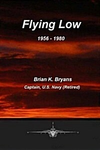 Flying Low (Paperback, 4th)