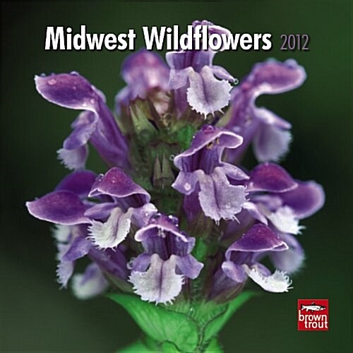 Midwest Wildflowers 2012 7X7 Mini Wall Calendar (Calendar, Min)