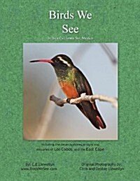 Birds We See (Paperback)