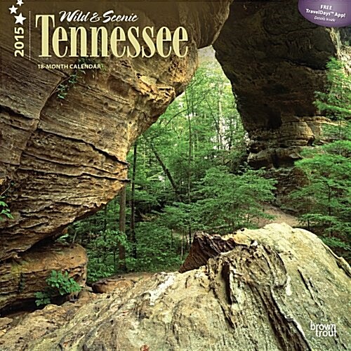 Wild & Scenic Tennessee 2015 Calendar (Paperback, Wall)