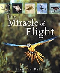 The Miracle Of Flight (Paperback)