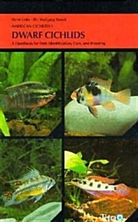 Dwarf Cichlids (American Cichlids) (Hardcover)