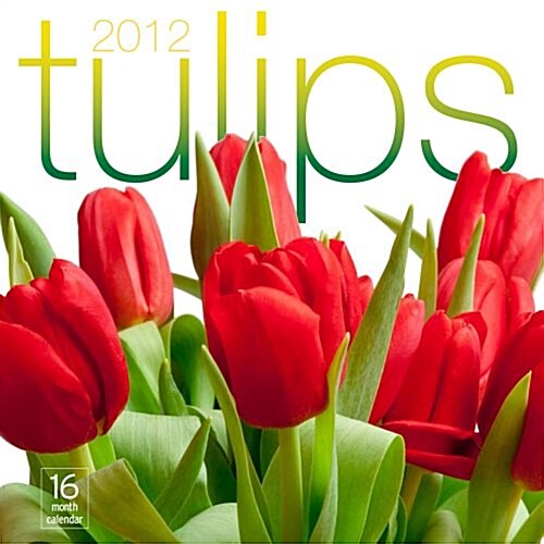 2012 Tulips Wall calendar (Calendar, Wal)