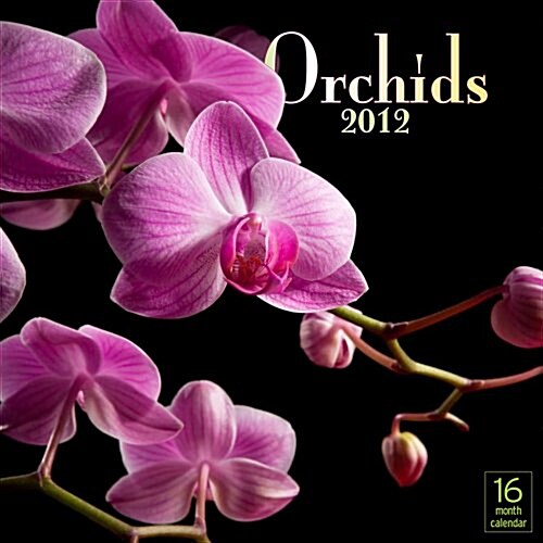 2012 Orchids Wall calendar (Calendar, 16m Wal)