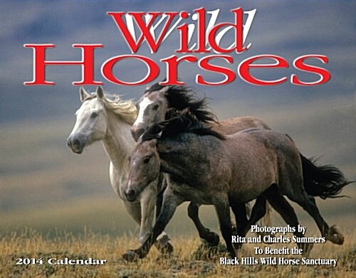 2014 Wild Horses (Calendar, Wal)