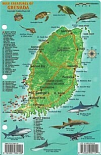 Grenada Dive Map & Reef Creatures Guide - Laminated Fish Card (Map)