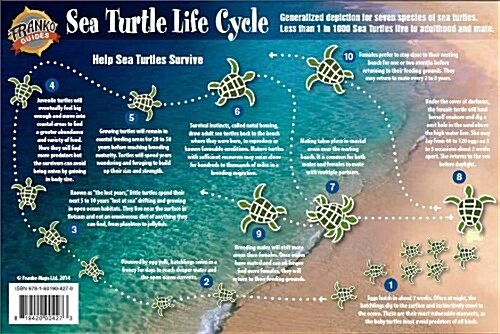 Sea Turtle Life Cycle Laminated Poster (Map)
