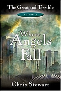 Where Angels Fall (Hardcover)