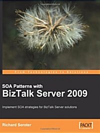Soa Patterns with BizTalk Server 2009 (Paperback)