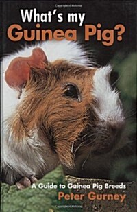 Whats My Guinea Pig?: A Guide to Guinea Pig Breeds (Hardcover)