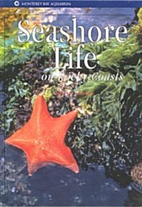 Seashore Life on Rocky Coasts (Paperback)