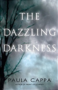 The Dazzling Darkness (Paperback)